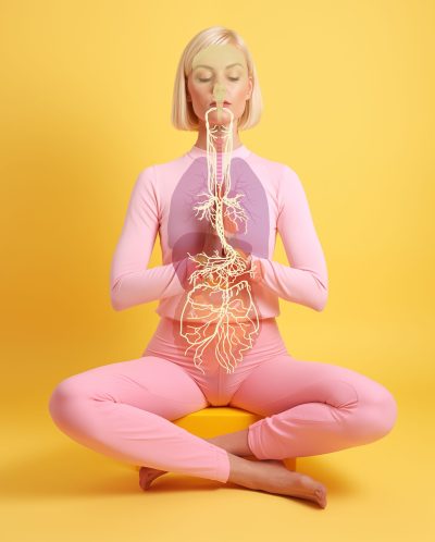 Vagus nerve, part of the parasympathetic nervous system, medically illustration The vagus nerve, part of the parasympathetic nervous system, regulates vital functions, influencing heart rate, digestion, and other autonomic processes, illustration